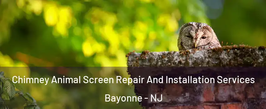  Chimney Animal Screen Repair And Installation Services Bayonne - NJ